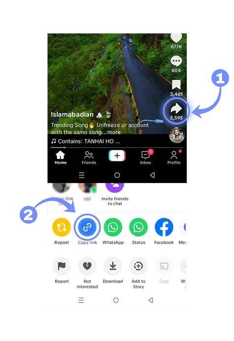 Step 1: Find and copy the TikTok video link
