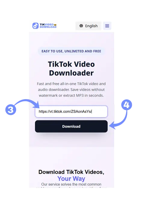 Step 2: Paste the link on TikVideoDownload.com